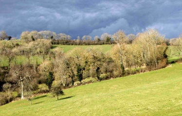 PONT D OUILLY - LA POMMERAYE-calvados