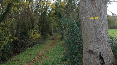 DE PLACY A LA MOTTE-calvados