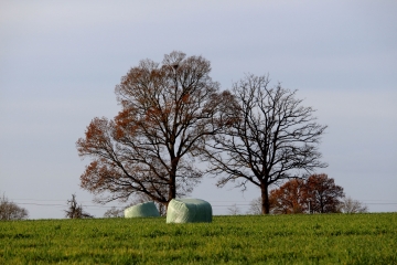 FORMENTIN 12 KM-calvados