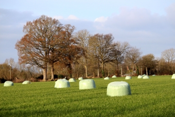 FORMENTIN 12 KM-calvados