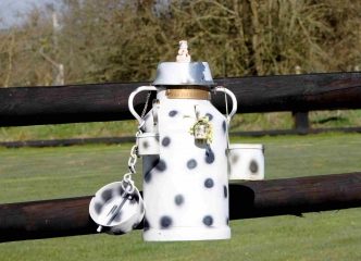 MESNIL-GERMAIN (2)-calvados