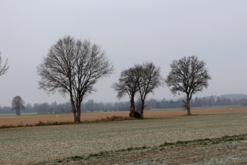 MAROLLES 15 KM-calvados