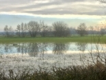 L AURE INFERIEURE ENTRE TEURTEVILLE ET LE PONT DE L ACRE-calvados