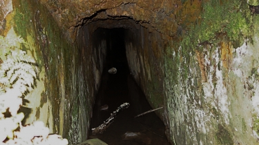 EN PASSANT PAR LES HAUTS-VENTS-calvados