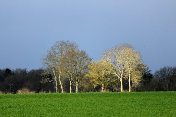 LIVAROT PAYS D AUGE - PREAUX-SAINT-SEBASTIEN-calvados