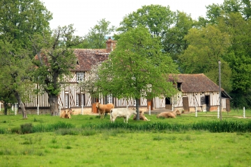 CASTILLON-EN-AUGE - HOULBEC-calvados