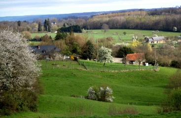 AUQUAINVILLE-calvados