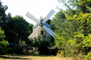 CERNAY - BOIS DE LA MOTTE-calvados