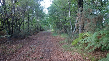 SAINT-PIERRE-DU-BU-calvados