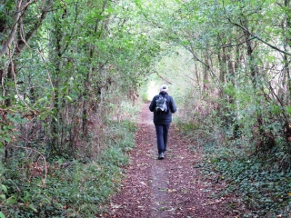 L AJON DE BANNEVILLE A MAISONCELLES-calvados