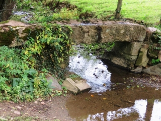 L AJON DE BANNEVILLE A MAISONCELLES-calvados