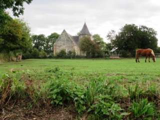 L AJON DE MAISONCELLES A LA CAINE-calvados