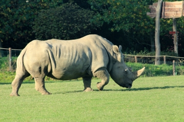 LISIEUX - OUILLY-DU-HOULEY-FIRFOL 25 KM-calvados