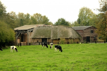 MOYAUX 11 KM-calvados