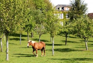 LE PRE D AUGE-calvados