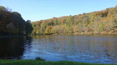 FORET DOMANIALE DE SAINT-SEVER-calvados