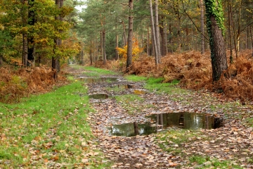 ORBEC - 13 KM-calvados