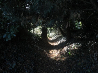 LE PONT ST ESPRIT - LE DOUET DU CORDILLON ET LE PONT TUELOUP-calvados