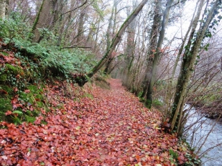 LA SEULLINE DE VILLERS BOCAGE A ST LOUET-calvados