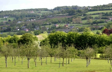 SAINT-CYR-DU-RONCERAY-calvados