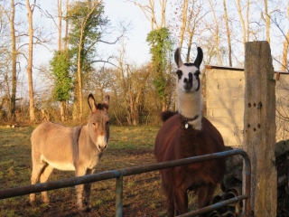L AURE ET LE VESSION-calvados