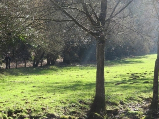 SOULEUVRE ET COURBENCON - ENTRE LE TOURNEUR ET BENY BOCAGE-calvados