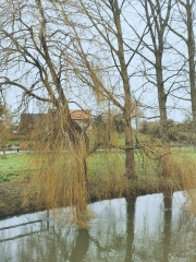 AUTOUR DE TREVIERES-calvados