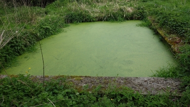 LA VALLEE DE LA SOULEUVRE-calvados