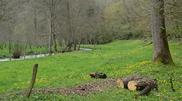 LA VALLEE DE LA SOULEUVRE-calvados
