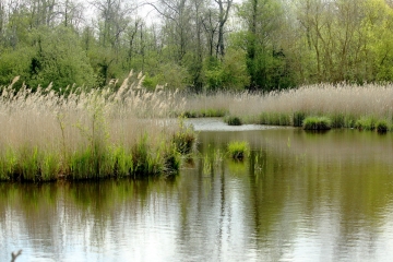 LES MARAIS DE CHICHEBOVILLE-calvados