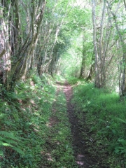 LA SIETTE ET LE LONG VEY-calvados