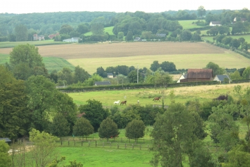 LIVAROT-PAYS-D AUGE ( AUQUAINVILLE-FERVAQUES)-calvados