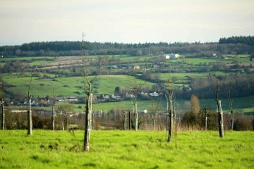 MONVIETTE - SAINT-PIERRE-EN-AUGE-calvados