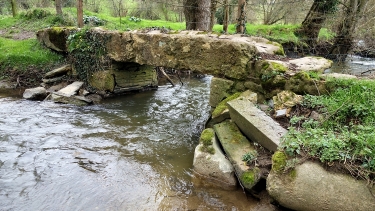 STE-HONORINE - MAISONCELLES-calvados