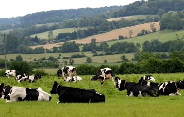 PRETREVILLE - MOULIN DE QUERVILLE-calvados