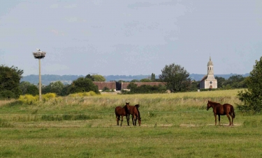 JANVILLE ET SON MARAIS-calvados