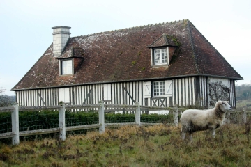 VAL DE VIE . SAINTE FOY-DE-MONTGOMMERY-calvados