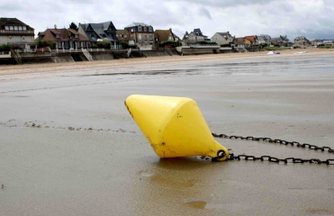 MARAIS DE BLONVILLE-SUR-MER-calvados