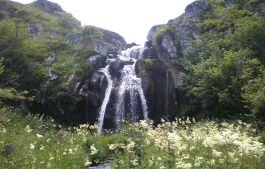 PLATEAU DE L AUBRAC CANTALIEN-cantal