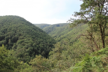 BRAGEAC - LE TROU DU LOUP-cantal