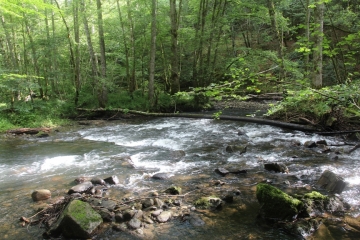CHATEAU DE BRANZAC-cantal