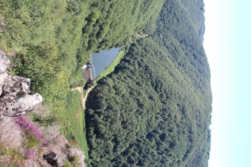 FORET DE MIERS-cantal
