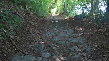 NEUVEGLISE - LA VOIE ROMAINE-cantal