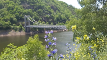 PIERREFORT - PONT SUSPENDU DE TREBOUL - PIERREFORT-cantal