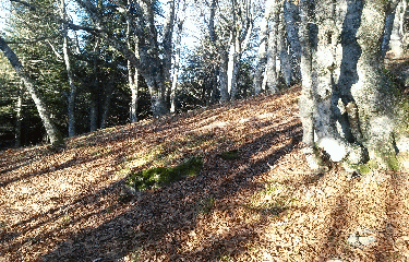 LIORAN - ROCHER DU BEC DE L AIGLE - TETON DE VENUS-cantal