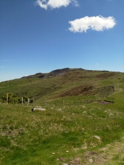 PUY NIERMONT - CANTAL-cantal