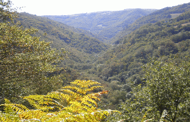 ST PROJET - VALLEE D AUZE -cantal