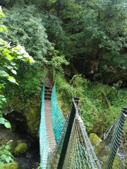 CASCADE DE SALINS-cantal