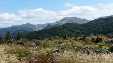 TOURNEMIRE - COL DE LEGAL - GIRCOLS-cantal