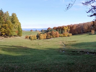 DEUX-VERGES PUYS DE LA TUILE - BOIS DES CHAIX-cantal